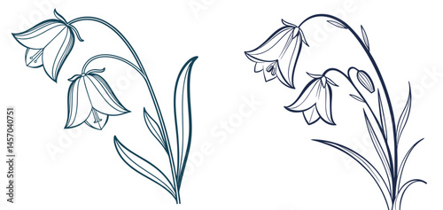 A bellflower icon with a simple, bell-shaped bloom and curved  petals.