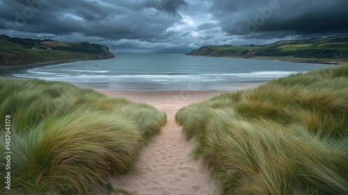Fototapeta Naklejka Na Ścianę i Meble -  Coastal beach path through dunes