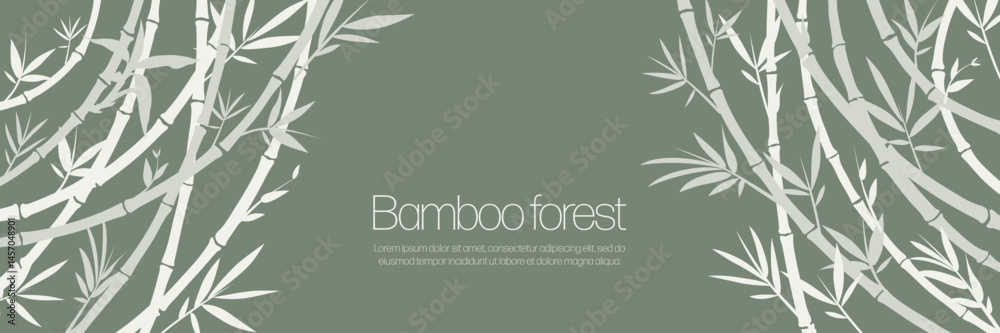 Fototapeta premium Horizontal bamboo frame on a green background, as a curtain or background for a banner. Vector pattern of white bamboo stems.