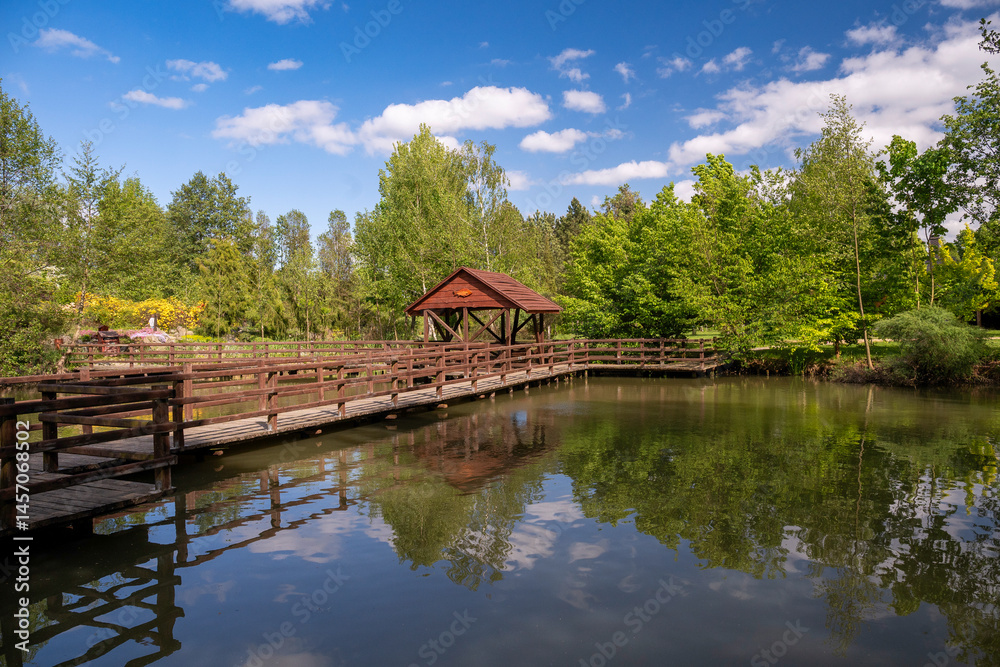 Forest Arboretum in Stradomia Dolna, Poland. Forest Arboretum in Stradomia Dolna, Poland.