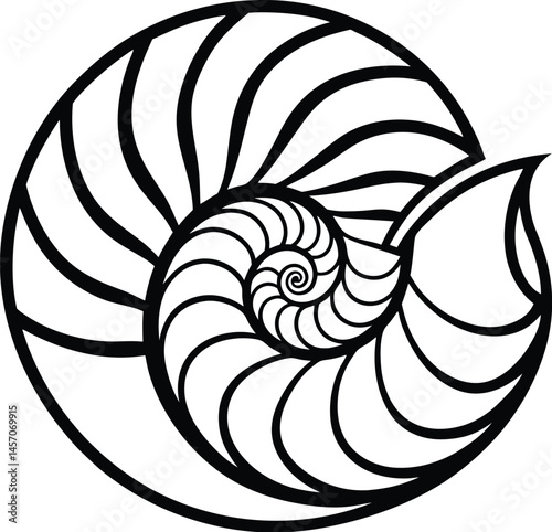 Nautilus shell silhouette, Nautilus sea shell or spiral round snail shell vector silhouette on white background, vector illustration