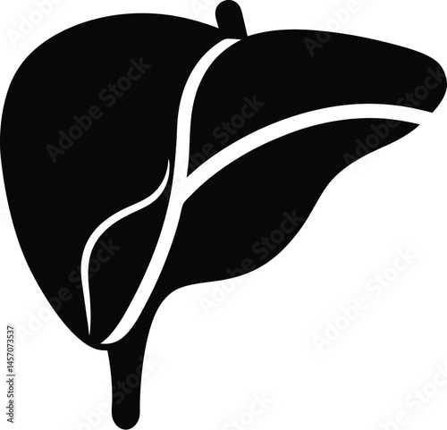 Liver silhouette, Liver silhouette icon, human organ vector, liver vector silhouette, vector illustration
