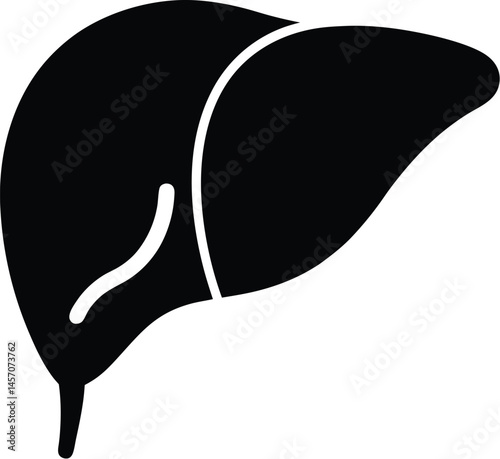Liver silhouette, Liver silhouette icon, human organ vector, liver vector silhouette, vector illustration