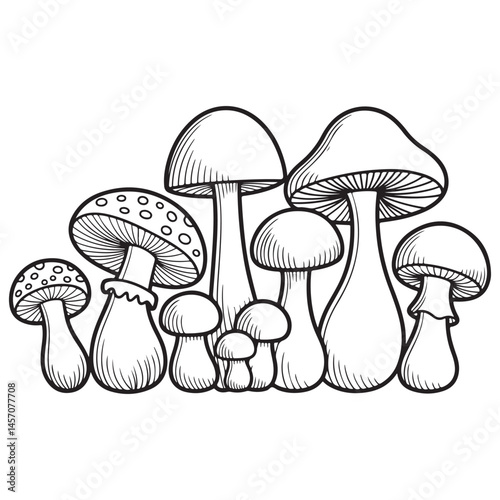 mushrooms  vector on a white background