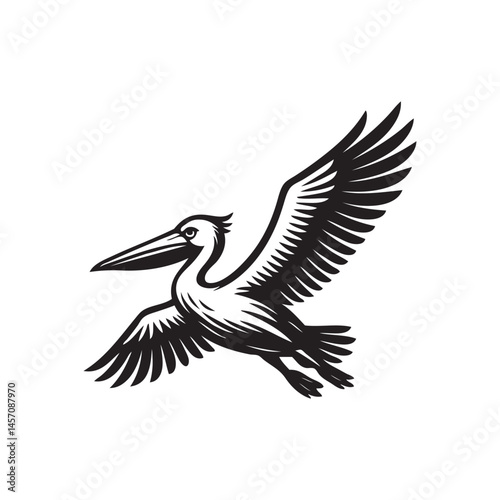 flying pelican