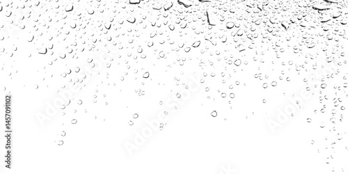 Numerous clear raindrops and water bubbles covering a glass surface effect on a white and transparent background png