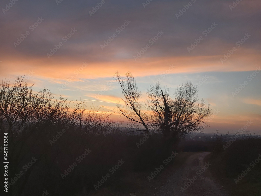 Obraz premium landscape with the image of the sunset in the sky