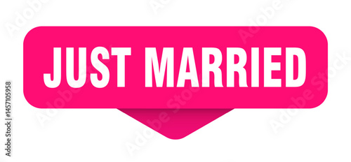 just married sticker. just married sign on transparent background