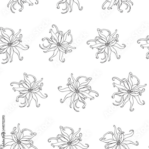 Ylang Ylang flower Botanical seamless pattern Linear Hand drawn sketch, black white graphics element. Vector botanical illustration for design cosmetics, perfumery, package, branding. Medicinal plant