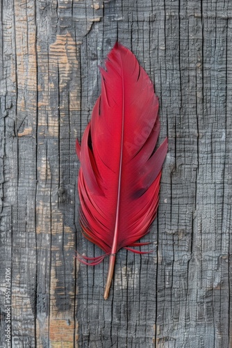 Obraz na płótnie Red Cardinal Feather Detailed Close-Up on Weathered Wooden Surface for Texture Studies w salonie
