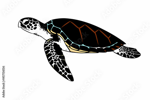 Stylized Illustration of a Sea Turtle Swimming