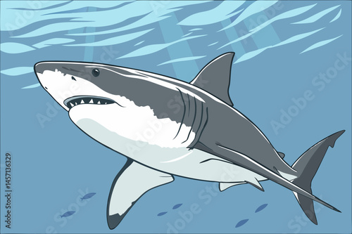 Great White Shark Underwater Illustration Vector Graphic