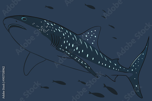 Whale Shark Underwater Illustration Ocean Wildlife