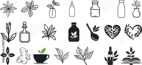 Herbs line icon set. Vector pictograms of echinacea, ginger, turmeric, lavender, dandelion, st johns wort, thin linear illustration.