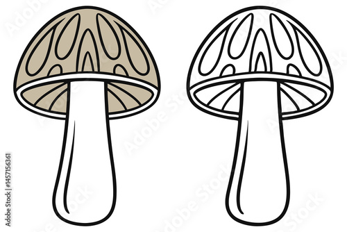 Simple cartoon drawing features an outline mushroom beside mushroom with color fill