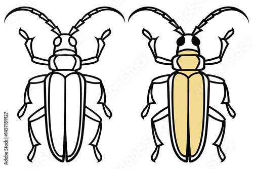 Two longhorn beetles are presented, one line art and the other beige, displayed together