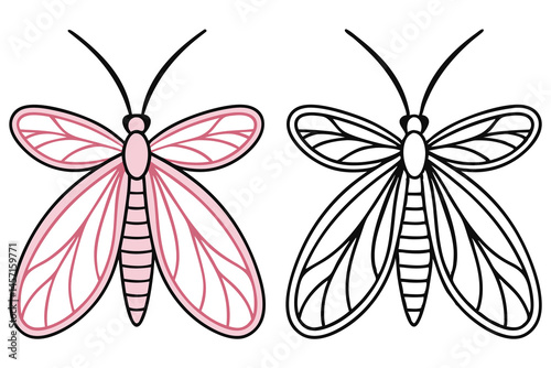One pink moth shares space with its black line art counterpart on white