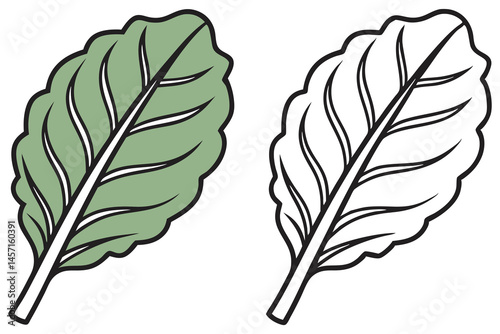Two stylized chard leaves show simple bold outlines with one colored and one uncolored