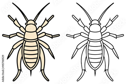 Two simple cartoon aphids show different color styles with transparent backgrounds are presented