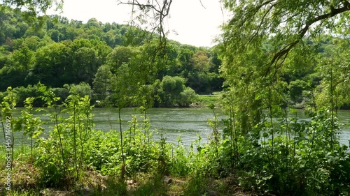 River Mosel, water and riverbank. Winningen, Germany