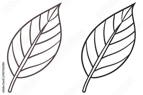 Two monochrome leaf contours are featured against a plain background in this minimalist image