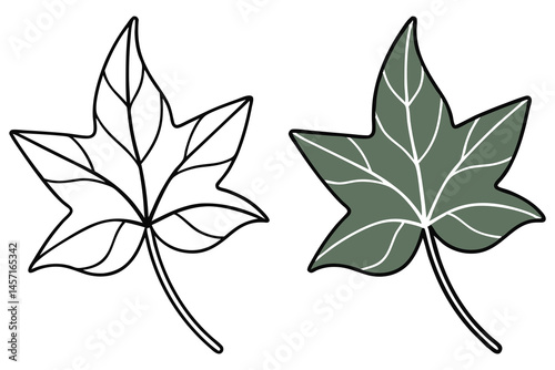 Black outline of an ivy leaf is next to a colored ivy leaf