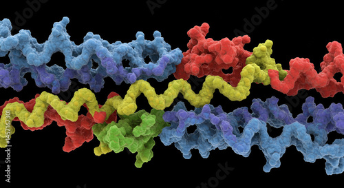 Marfan Syndrome Mutation in Fibrillin-1 Gene photo