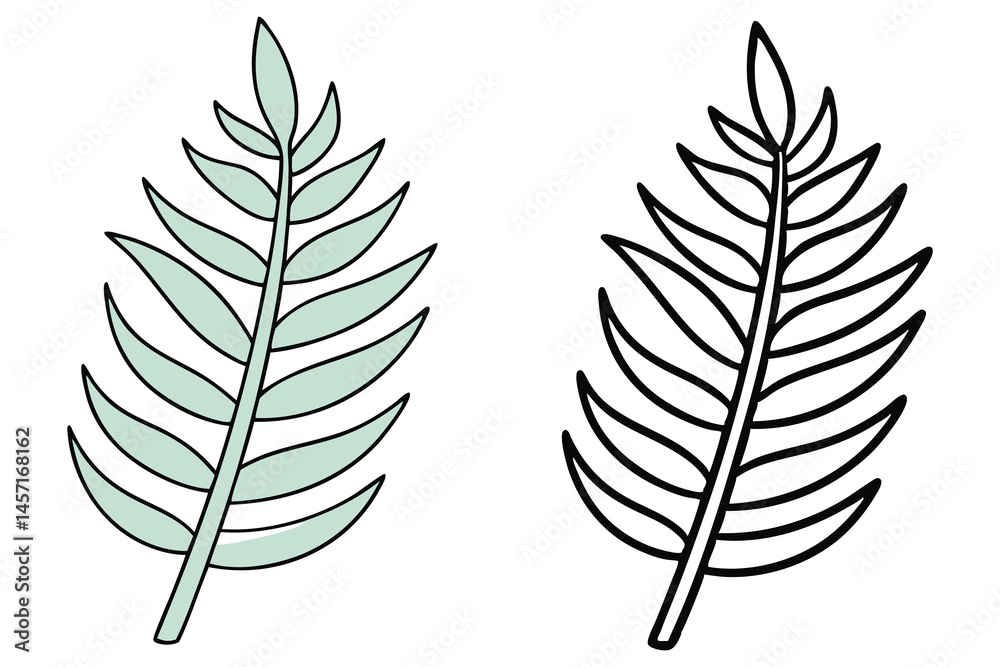 Fototapeta premium We see a green leaf alongside a black line art leaf on white