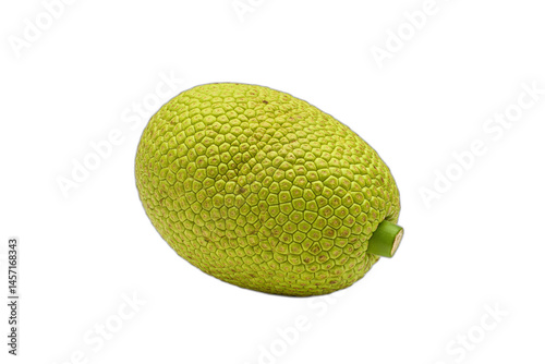 Jackfruit, Cempedak, and Breadfruit: Tropical Yellow Fruits