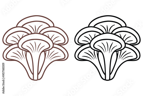 Outlined oyster mushrooms with brown and black colored lines is displayed on white background