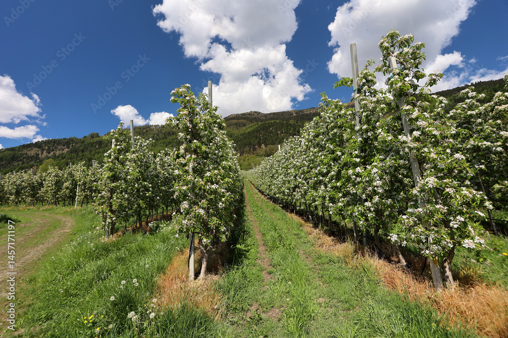 Naklejka premium Landschaft