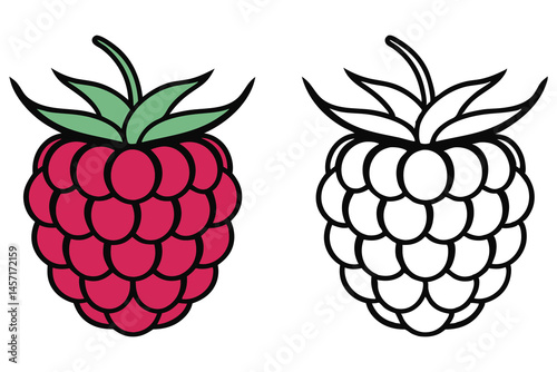 A colored raspberry sits beside its monochrome outline with green leaves against white