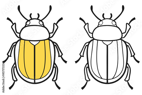 Cartoon beetles display front, where one is vibrant yellow and the other shows outline form