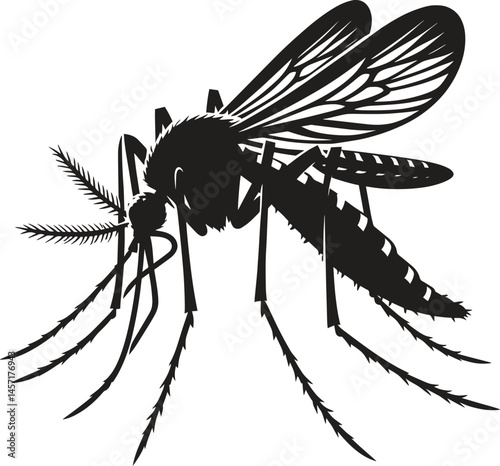 Mosquito black silhouette vector illustration isolated on white background