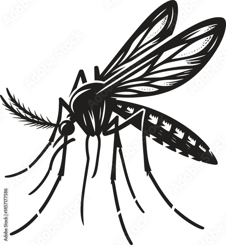 Mosquito black silhouette vector illustration isolated on white background