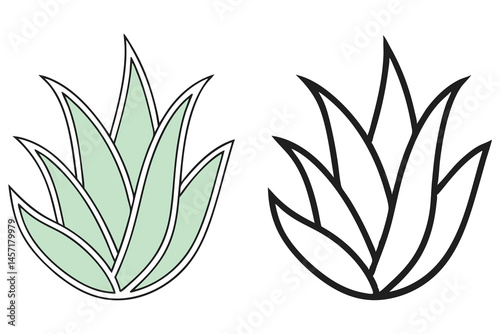 Outlined agave plant displays a soothing green color and bold monochrome contrast on a transparent background