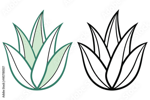 Succulent plant displays a verdant, pastel shaded leaf and monochrome counterpart on clean white