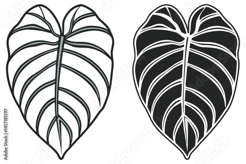 Two taro plant leaves are displayed, one colored and one monochrome, against white