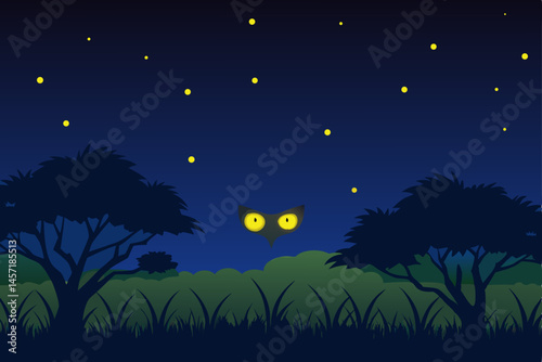 night landscape with moon and stars