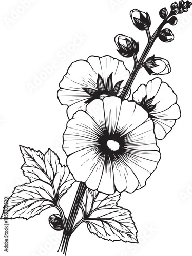 Hollyhock flower vector elements summer collection, hand-painted Hollyhock coloring pages, vector sketch, pencil art Hollyhock flower, vintage floral design wildflowers with coloring book for adults