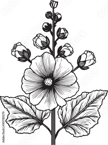 hand-painted Hollyhock wall decor, vector sketch, pencil art, fresh Hollyhock flower, Minimalist Hollyhock flower tattoo design, Hollyhock birth flower line art