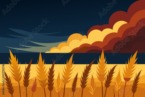 wheat field and sunset