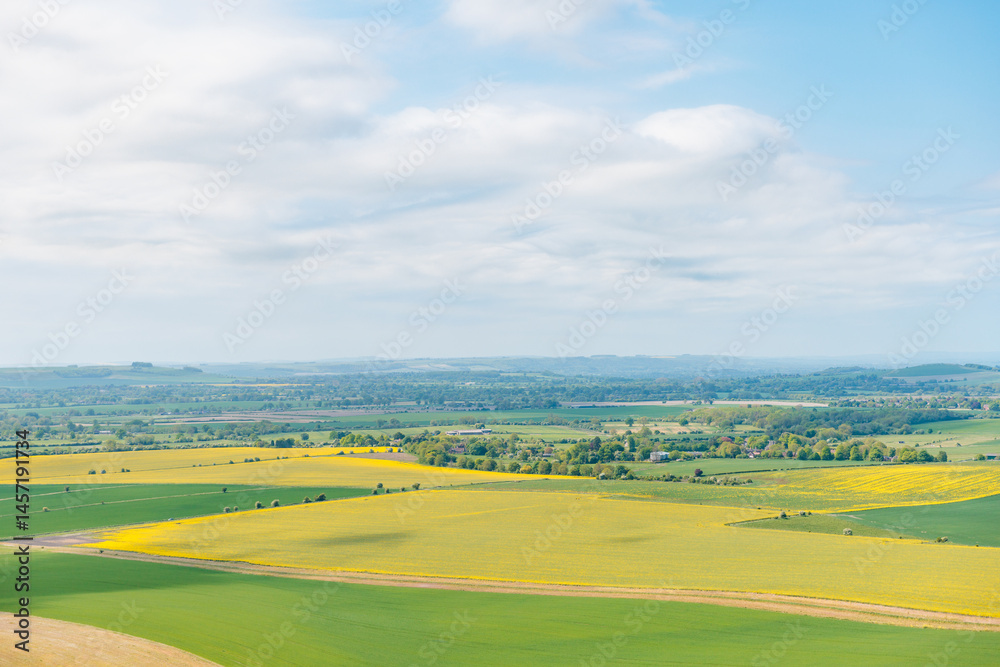 Fototapeta premium Peaceful agriculture, farmland, Pewsey, Wiltshire, South of England
