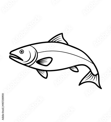 Fish Sketch