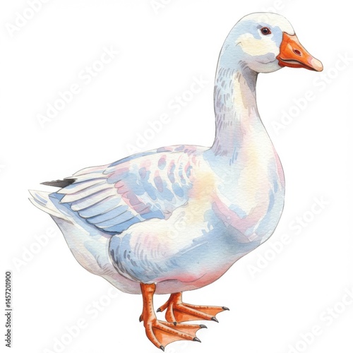 White Goose Watercolor Illustration