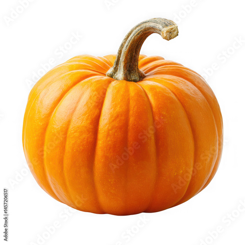 Wallpaper Mural Single orange pumpkin with stem isolated on transparent background  Torontodigital.ca