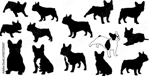 French Bulldog - Silhouetten