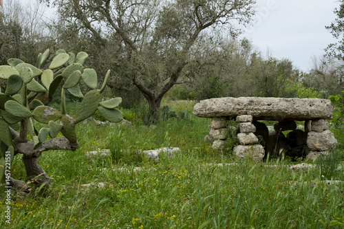 ancient Italian Prehistoric site in Puglia