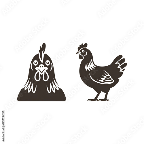 Chicken on white background 
