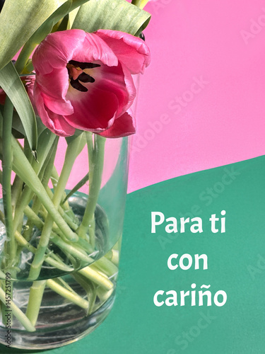 Pink tulips in a glass vase with text 